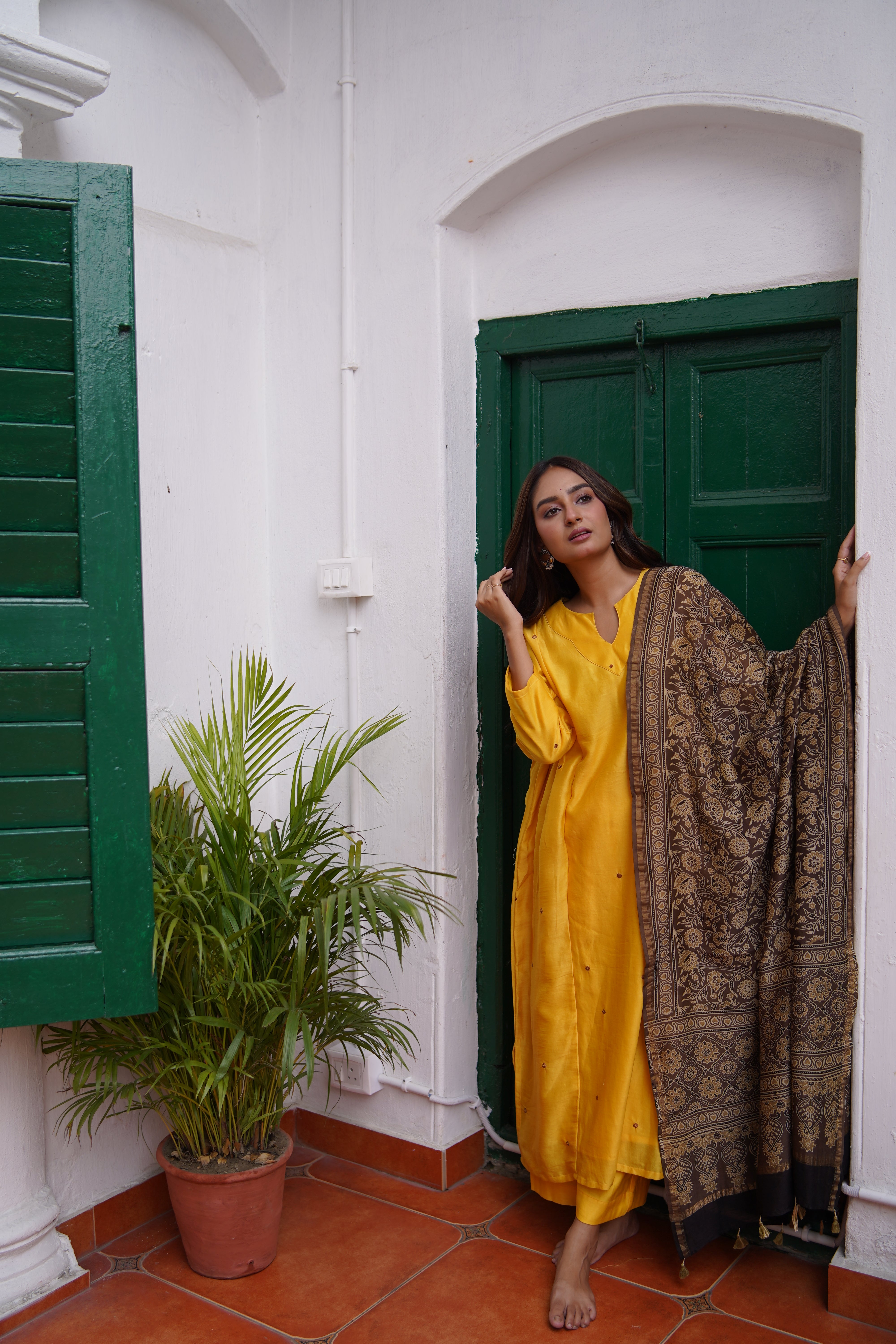 Sunlit Terrain (Chanderi Bhandej Ajrakh)