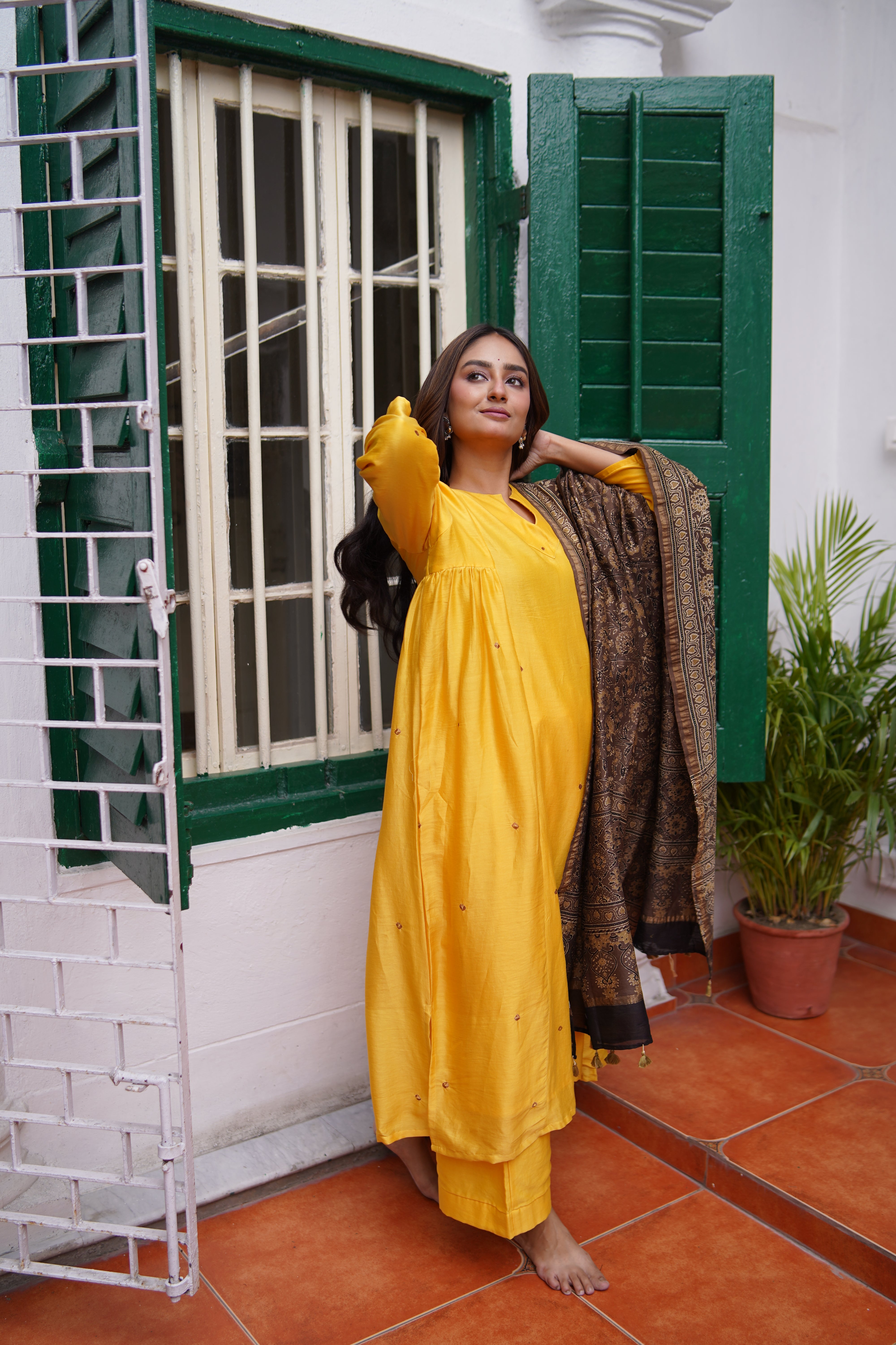 Sunlit Terrain (Chanderi Bhandej Ajrakh)