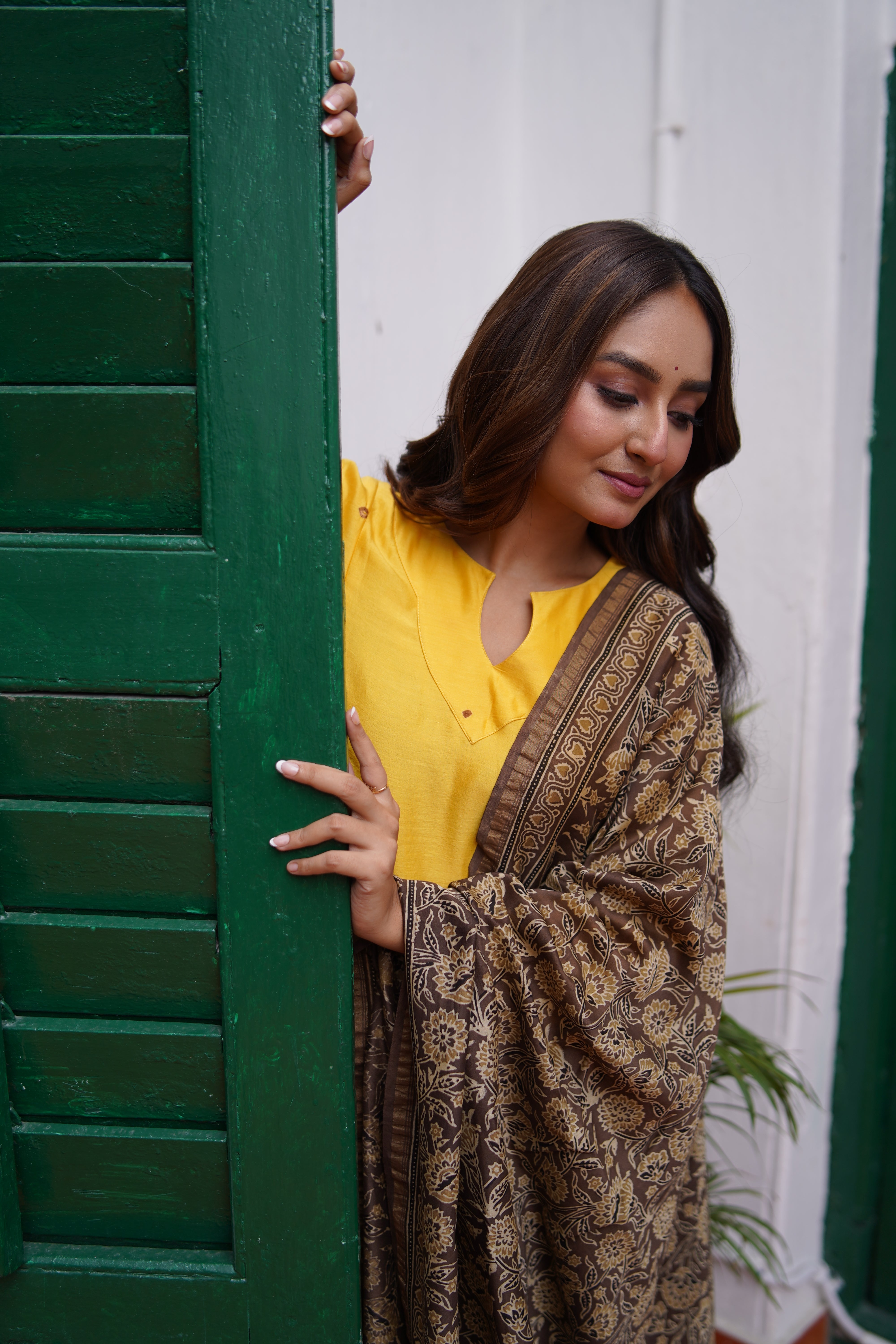 Sunlit Terrain (Chanderi Bhandej Ajrakh)